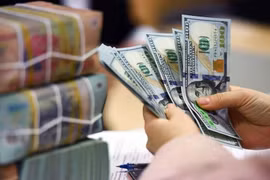 Tỷ giá USD hôm nay 19/5/2024: Nhích nhẹ?