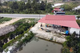 Gallery - Sai phạm đất đai - image 15