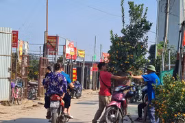 Gallery - THỊ TRƯỜNG TÊT 2023 - image 10
