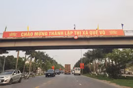 Bắc Ninh: Thị xã Quế Võ duy trì tăng trưởng từ 8 - 8,5%