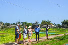 Du lịch Quảng Nam đón hơn 8 triệu lượt khách, phá kỷ lục 2019