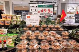 Cận cảnh quy trình xử lý vài thiều trước khi... xuất ngoại