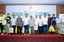 NPK Cà Mau Công nghệ Polyphosphate mang lại hiệu quả cho cây sầu riêng tây nguyên