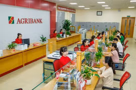 Gallery - 65 NĂM XUẤT BẢN SỐ BÁO KHOA HỌC ĐỜI SỐNG ĐẦU TIÊN - image 5