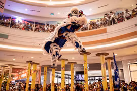 Gallery - Number One - Tân Hiệp Phát - image 4
