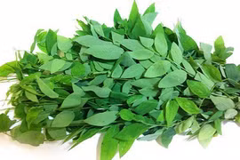 Loại rau có vitamin C nhiều hơn cam và ổi, giúp thanh nhiệt giải độc