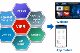 Chuẩn bị vận hành Cơ sở dữ liệu sở hữu công nghiệp