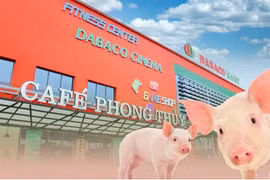 Lợi nhuận quý II 'bốc hơi' 56%, cổ phiếu DBC có phiên nằm sàn