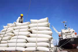 Vừa chốt chia cổ tức bằng tiền tỷ lệ 88%, cổ phiếu BLT 'bốc đầu’ vượt đỉnh