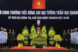 Gallery - Chủ tịch nước Trần Đại Quang từ trần  - image 11
