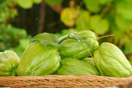 Gallery - Chữa bệnh bằng Đông y - image 10