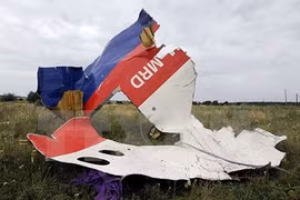 Gallery - Thảm Họa MH17 - image 13