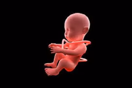 Dây rốn quấn cổ thai nhi có nguy hiểm không?