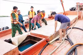 Gallery - Hàng Giả Hàng Nhái - image 12