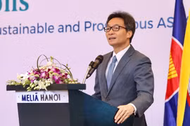 Việt Nam sẽ tích cực tham gia các chương trình hợp tác kỹ thuật của ASEAN