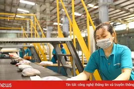 Bộ TT&TT: Doanh nghiệp bưu chính cần chú trọng ứng dụng công nghệ số để hạn chế tiếp xúc