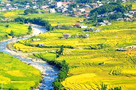 Nhộn nhịp thị trường tour du lịch dịp nghỉ lễ Quốc khánh 2/9