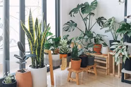 Các thiết bị thông minh giúp tăng chất lượng cuộc sống