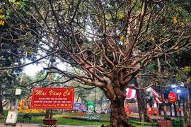 Gallery - VÒNG LOẠI WORLD CUP 2022 - image 1