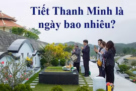 Gallery - TẾT THANH MINH - image 6