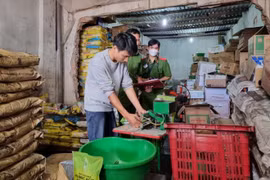 Mua phân bón Trung Quốc rồi đóng nhãn hiệu Mỹ đem bán