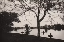 Gallery - Việt Nam & Thế Giới - image 5