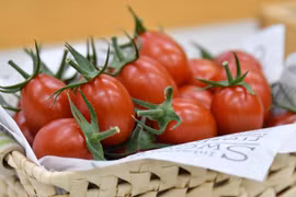 CropLife Châu Á: Công nghệ và cải tiến khoa học thúc đẩy môi trường thực phẩm lành mạnh hơn
