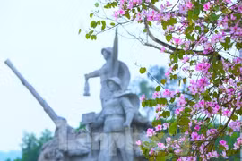 Đẹp nao lòng hoa ban ở chứng tích huyền thoại Truông Bồn