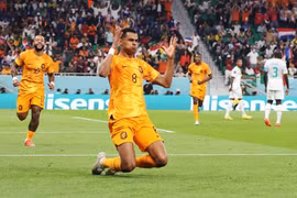Nhận định Hà Lan vs Ecuador: Tranh ngôi đầu bảng