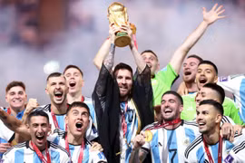 Gallery - WORLD CUP 2022 - image 4