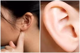 Nhìn hình dáng tai biết ngay cuộc đời phú quý hay bần hèn