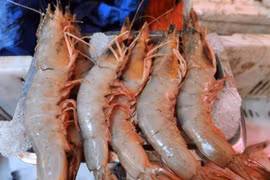 Đi chợ gặp 3 loại tôm này nhớ tránh xa, đừng ham rẻ 