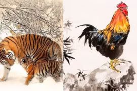 Gallery - Tử Vi 2015 - image 10