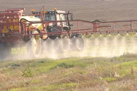 Châu Âu phê duyệt gia hạn sử dụng glyphosate thêm 10 năm
