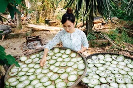 Bỏ thành phố với mức lương khá, cô gái Quảng Nam về quê làm ruộng 