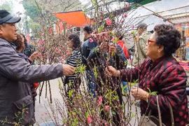 Gallery - Không Khí Đón Tết 2018 - image 7