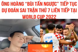 Gallery - WORLD CUP 2022 - image 7