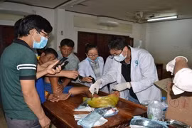 Gallery - Vỡ đập thủy điện tại Lào - image 3