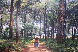 Phượt Bản Áng, “Đà Lạt thu nhỏ” tại miền Tây Bắc