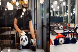 Giảm sự cô đơn cho khách mùa dịch, nhà hàng nghĩ ra "độc chiêu"