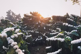 Gallery - Công An Gạt Tay Trúng Má Phóng Viên - image 10