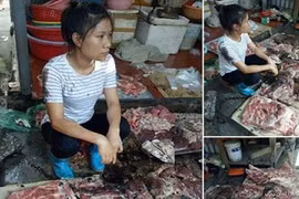 Gallery - Giải Cứu Lợn - image 8