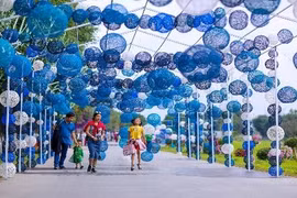 Doanh thu từ lễ hội hoa xuân Ecopark 2019 “khủng” cỡ nào?