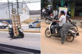 Không đâu như Việt Nam, dân “làm xiếc” trên đường với xe máy