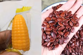 Loạt loại đồ ăn cứ đến Tết lại gây ám ảnh trong khay mứt