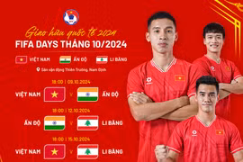 Danh sách tập trung đội tuyển Việt Nam, Nguyễn Xuân Son có được gọi?