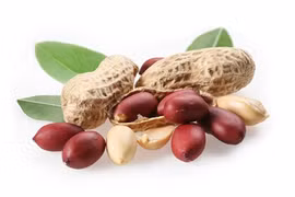 Kinh ngạc công dụng kỳ diệu khi mỗi ngày ăn vài hạt lạc
