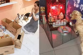 Giới trẻ Việt khoe cầu thang cầu vồng cực độc đáo