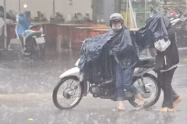 Cơn mưa “vàng” giữa đợt khô hạn ở Lâm Đồng
