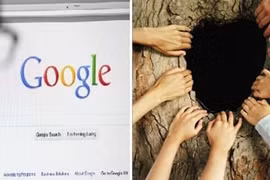 Gallery - Mẹo Sử Dụng Smartphone - image 5